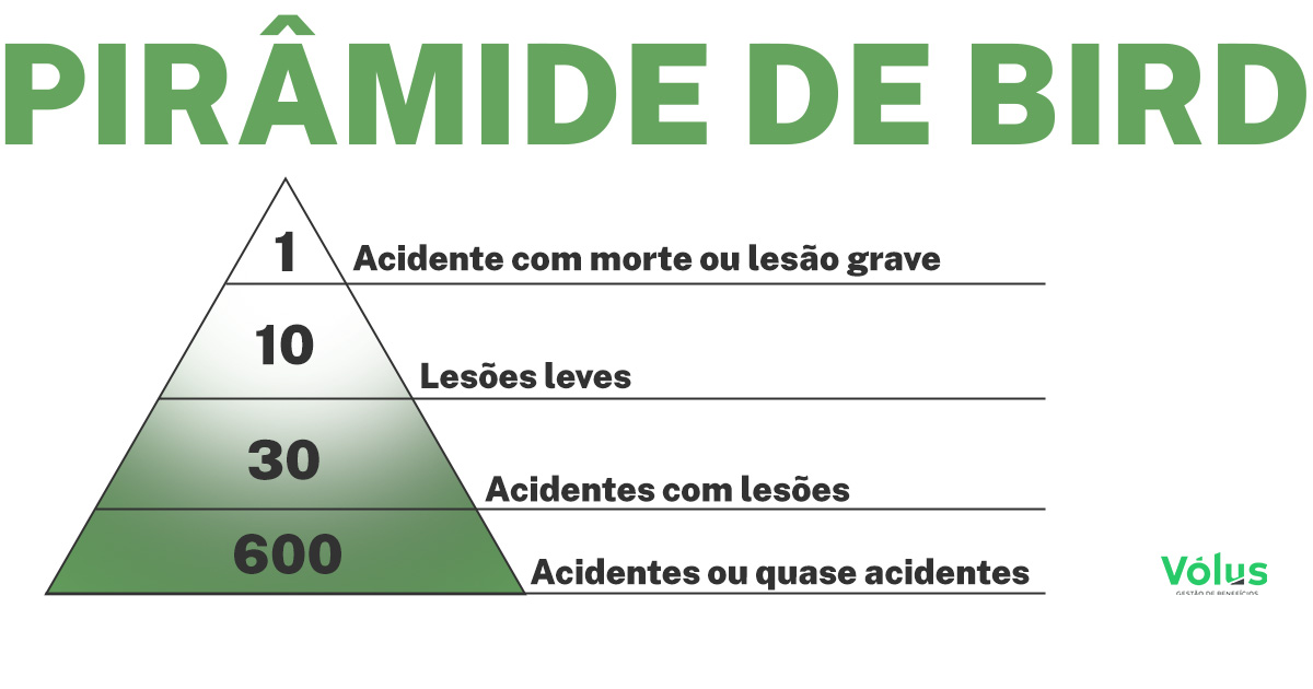 O que é a Pirâmide de Bird?