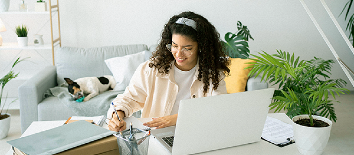 Política de home office